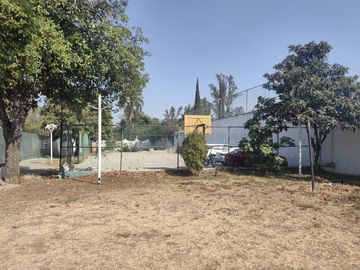 place photo 17