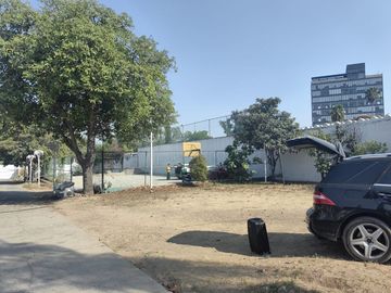 place photo 14