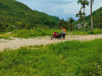 place photo 17