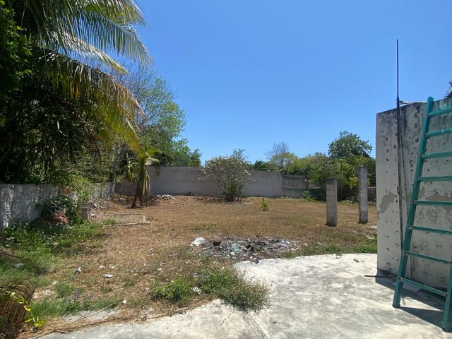place photo 27