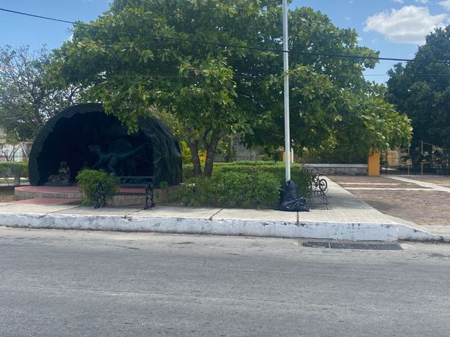 place photo 50