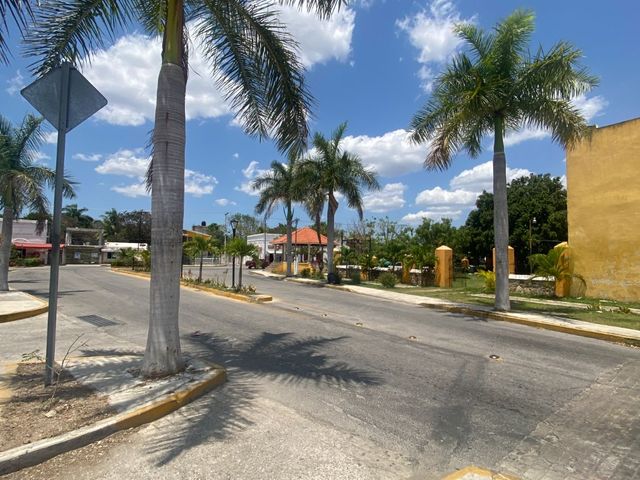 place photo 44