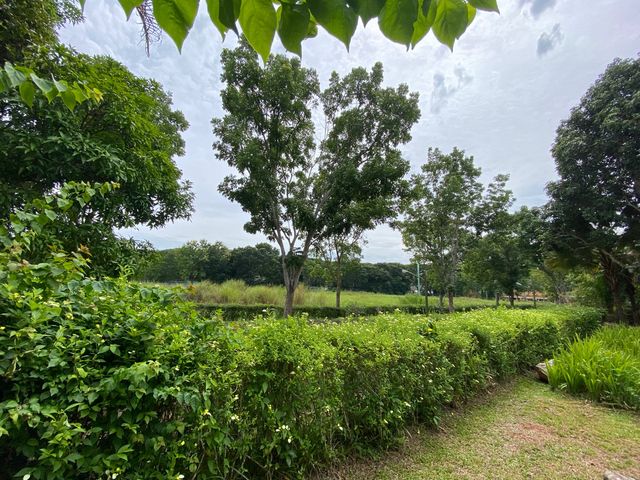 place photo 45