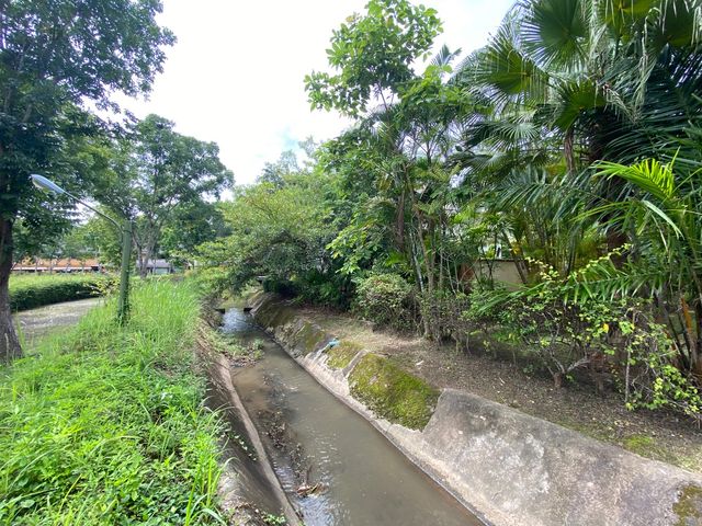 place photo 44