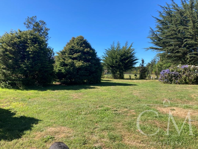 place photo 19