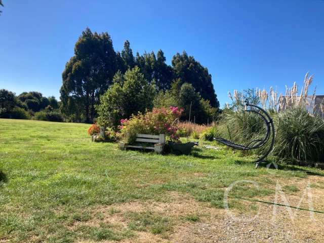 place photo 20