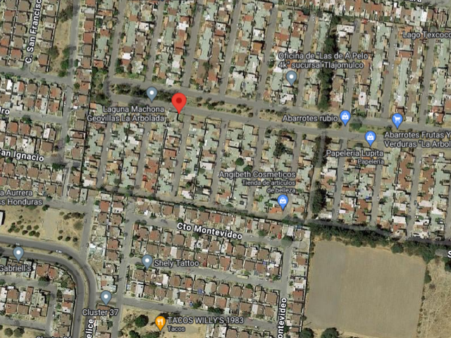 place photo 9