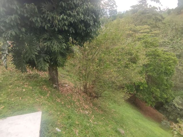place photo 53