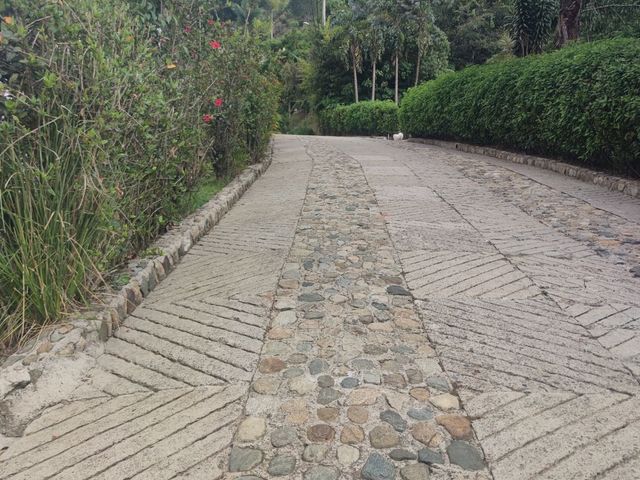 place photo 57