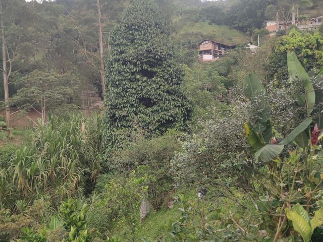 place photo 69