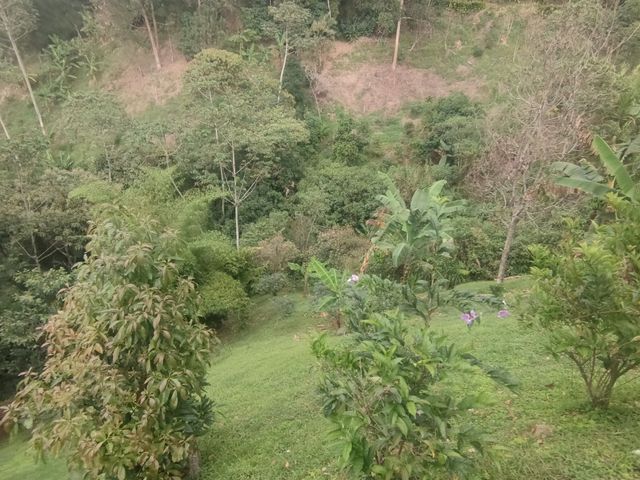 place photo 54