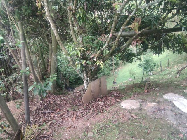 place photo 65