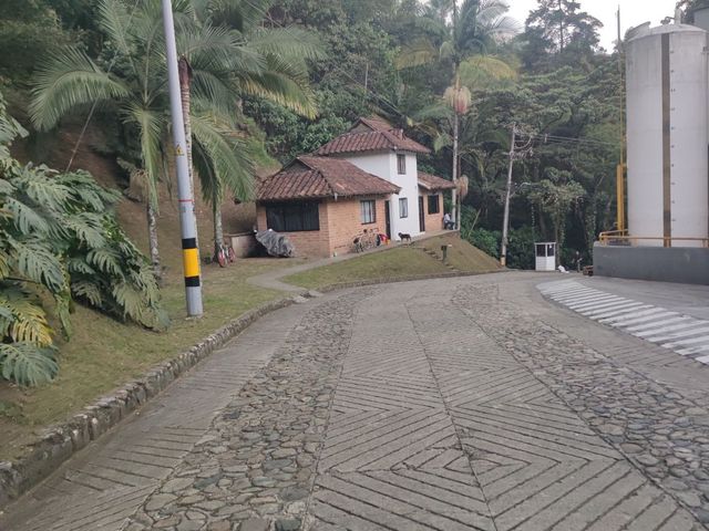 place photo 71