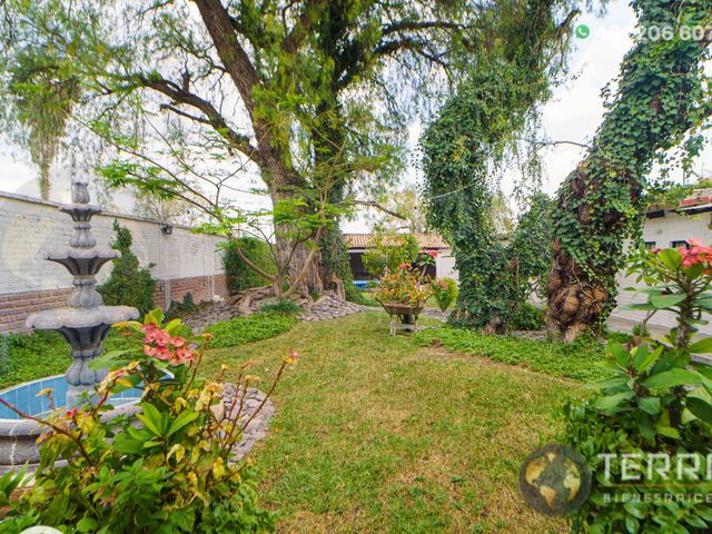 place photo 27