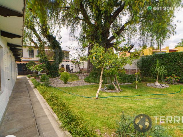 place photo 38