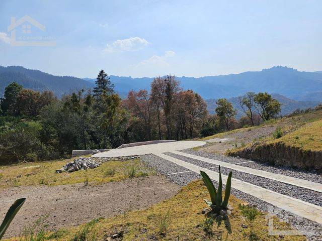 place photo 52