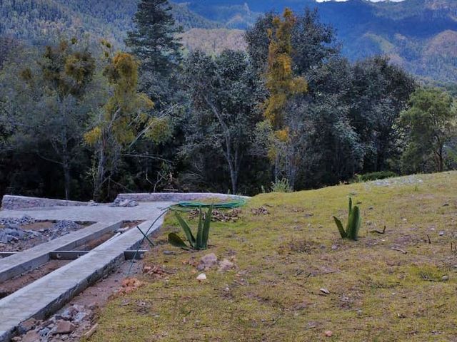 place photo 48
