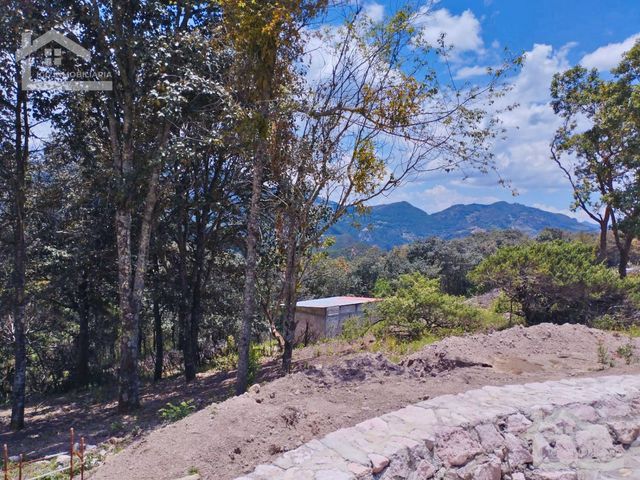 place photo 45