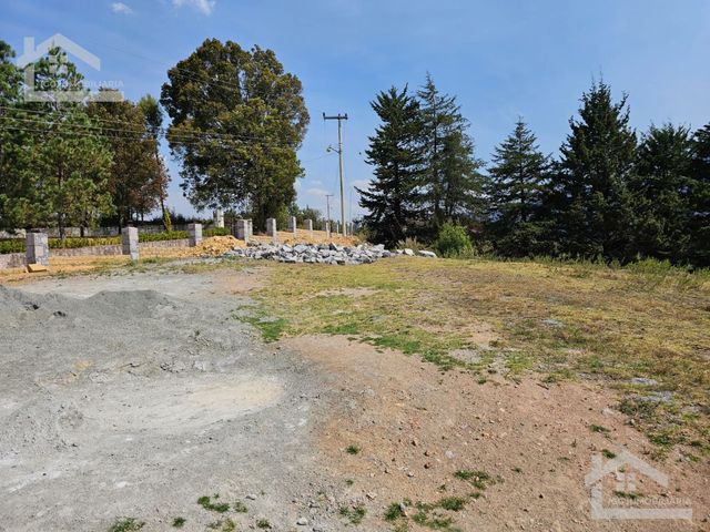 place photo 53