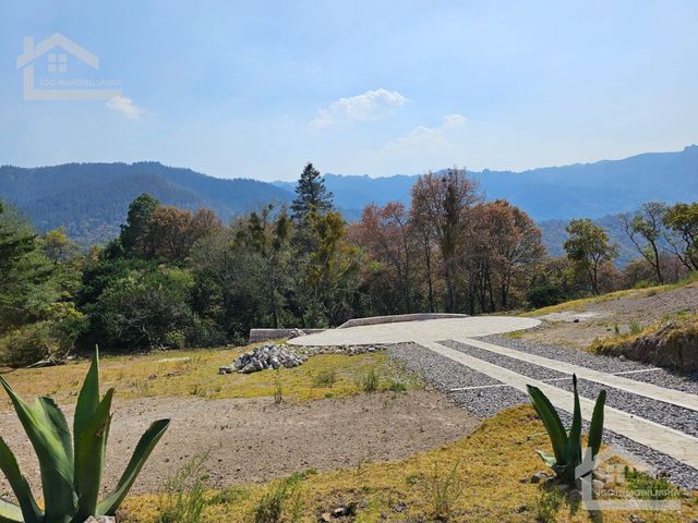 place photo 51