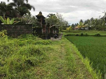 Pejeng, Bali, Indonesia