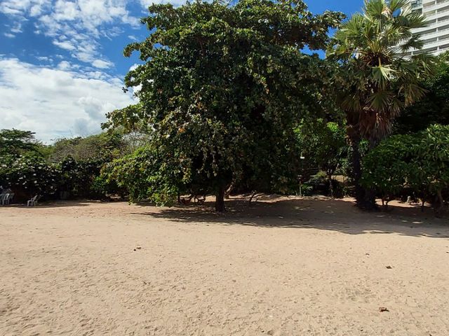 place photo 37