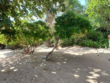 place photo 30