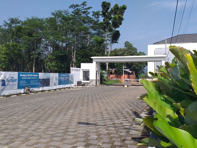 place photo 16