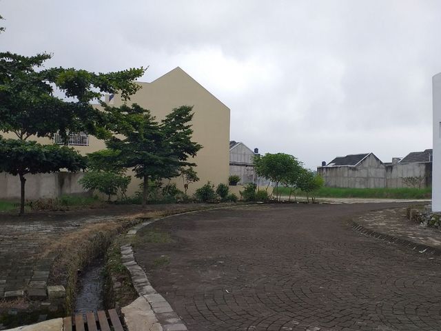 place photo 19