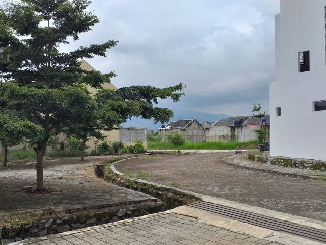 place photo 26