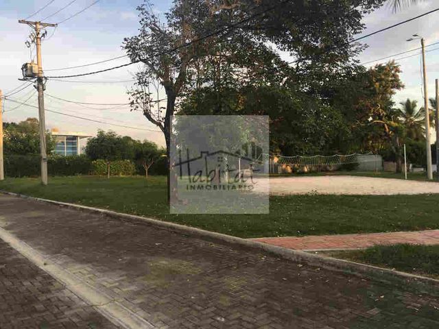 place photo 33