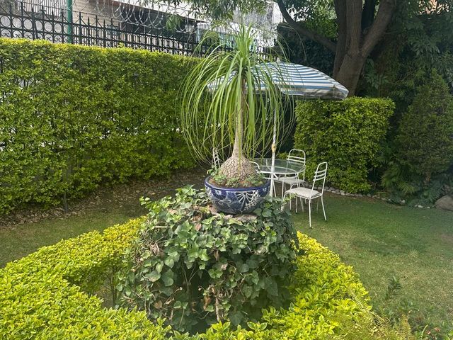 place photo 39