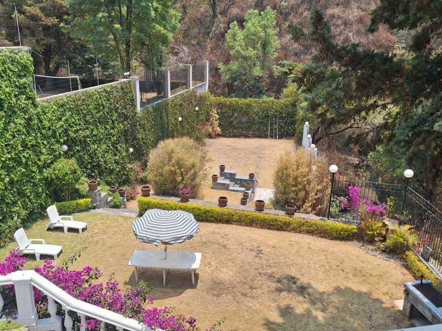 place photo 36