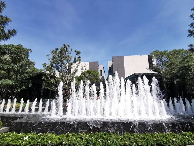 place photo 39