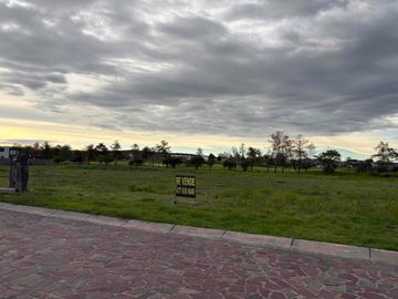 place photo 28