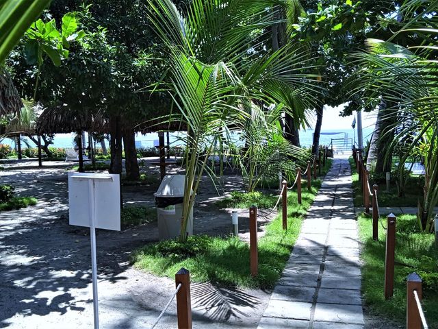 place photo 30