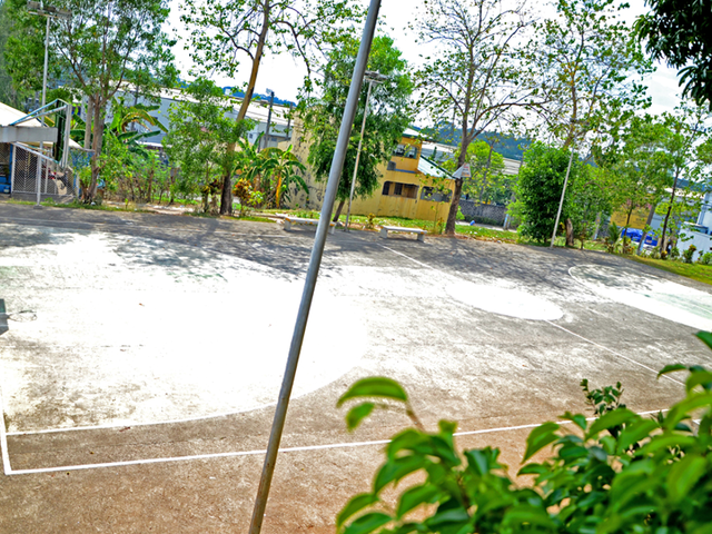 place photo 14