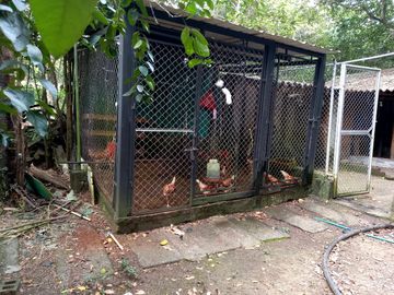 place photo 75