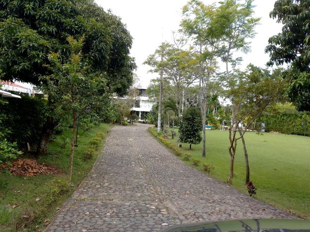 place photo 77