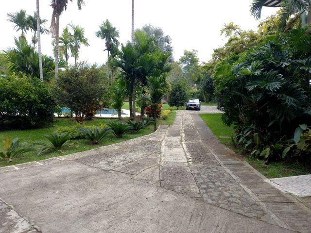 place photo 70