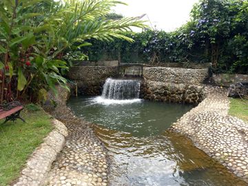 place photo 64