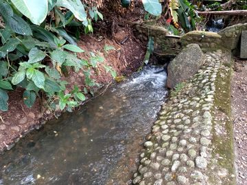 place photo 71