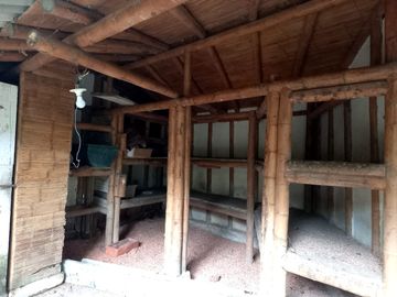 place photo 76