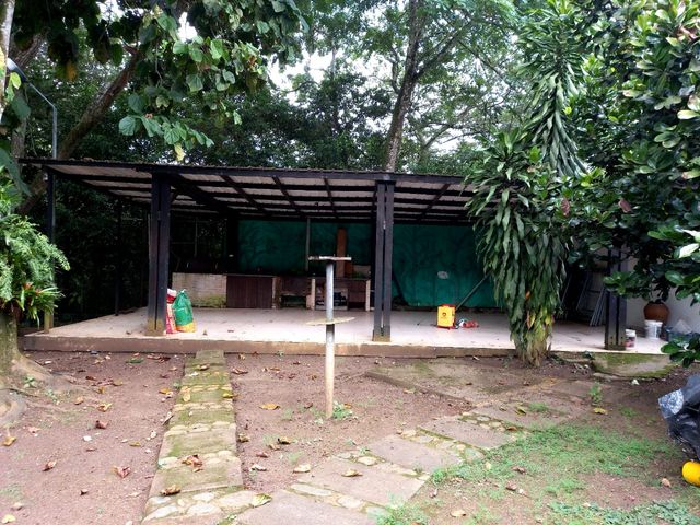 place photo 74