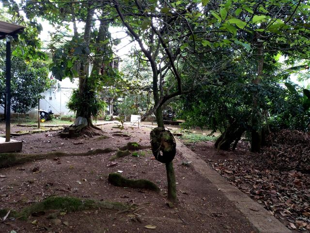 place photo 72