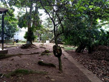 place photo 72