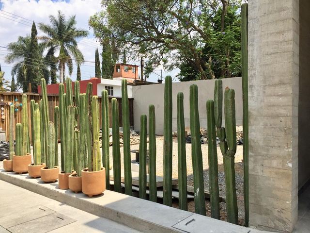 place photo 22