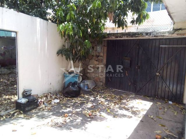place photo 18