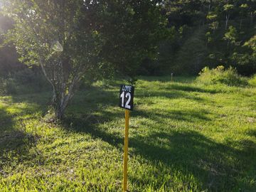 place photo 38