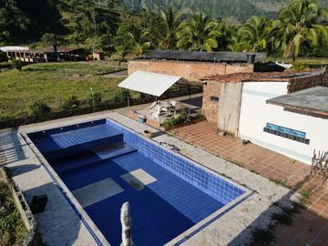 place photo 43